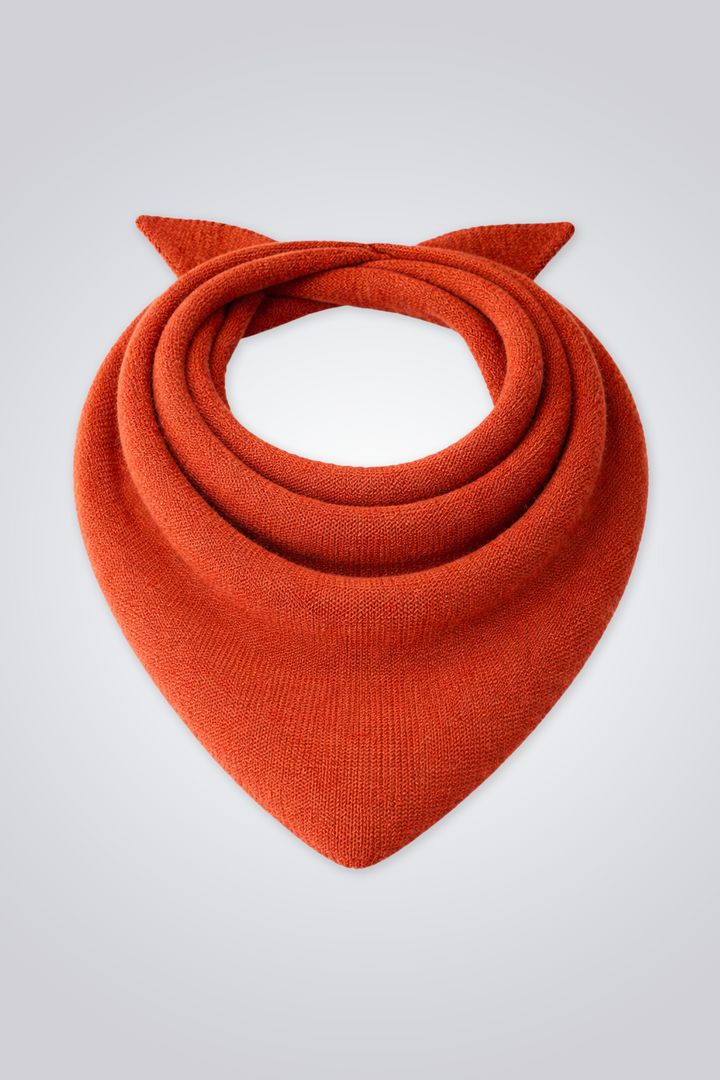 Vue Face #couleur_rouille