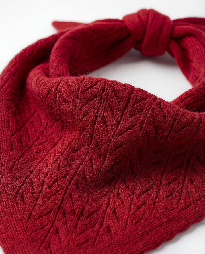 Packshot #couleur_cerise